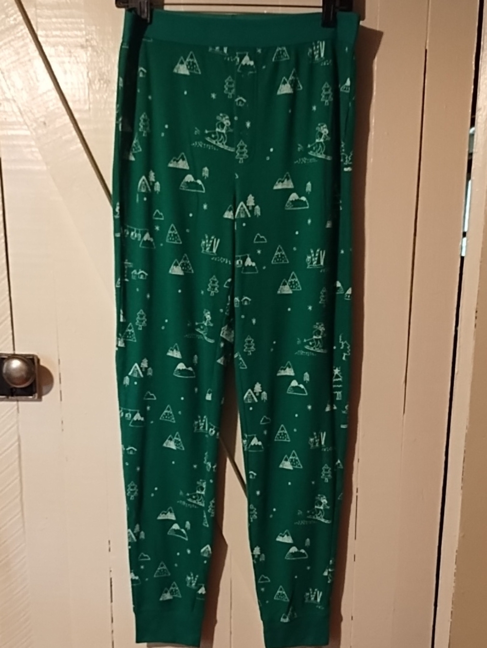 Mens Size Medium Wondershop Green Mountain Ski Print Pajama Bottoms NWOT.
